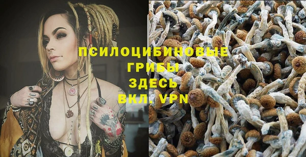 метадон Алзамай